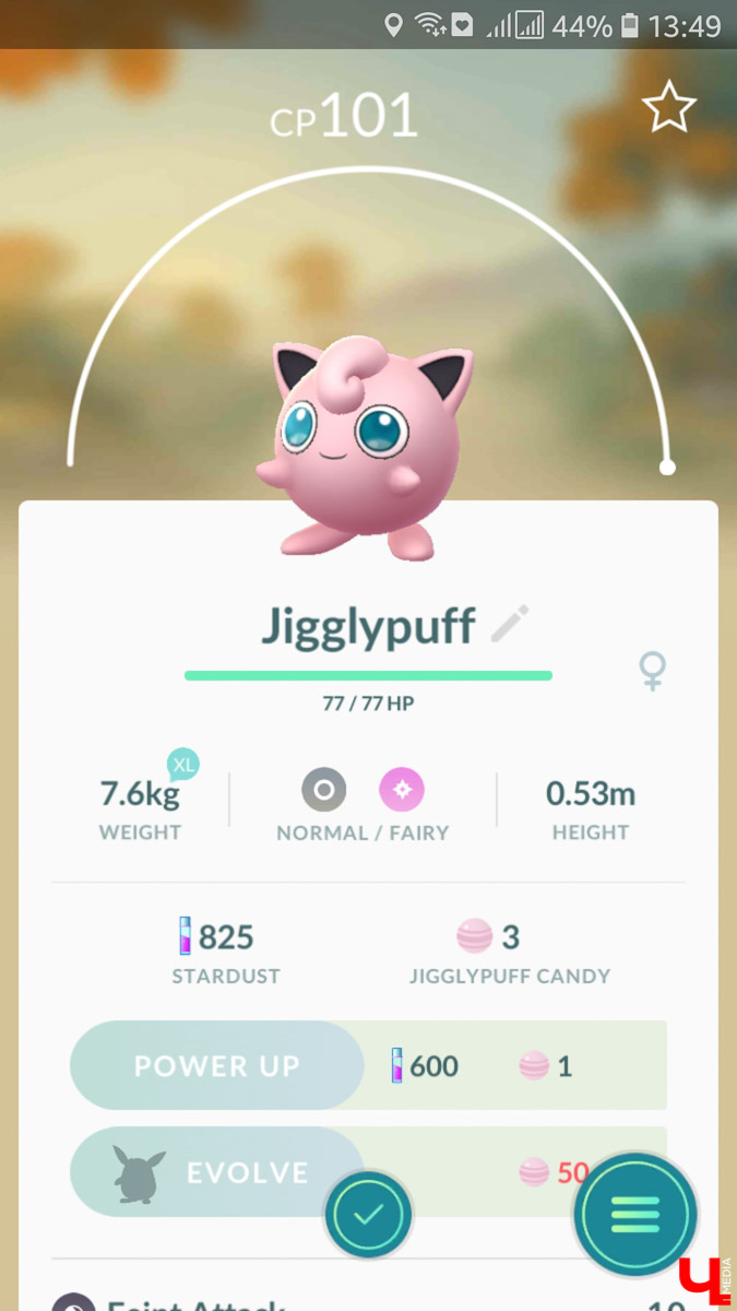 11 сентября в России официально запустили игру Pokemon Go. Журналист “Ключ-Медиа” установила приложение на свой телефон и устроила охоту на владимирских покемонов