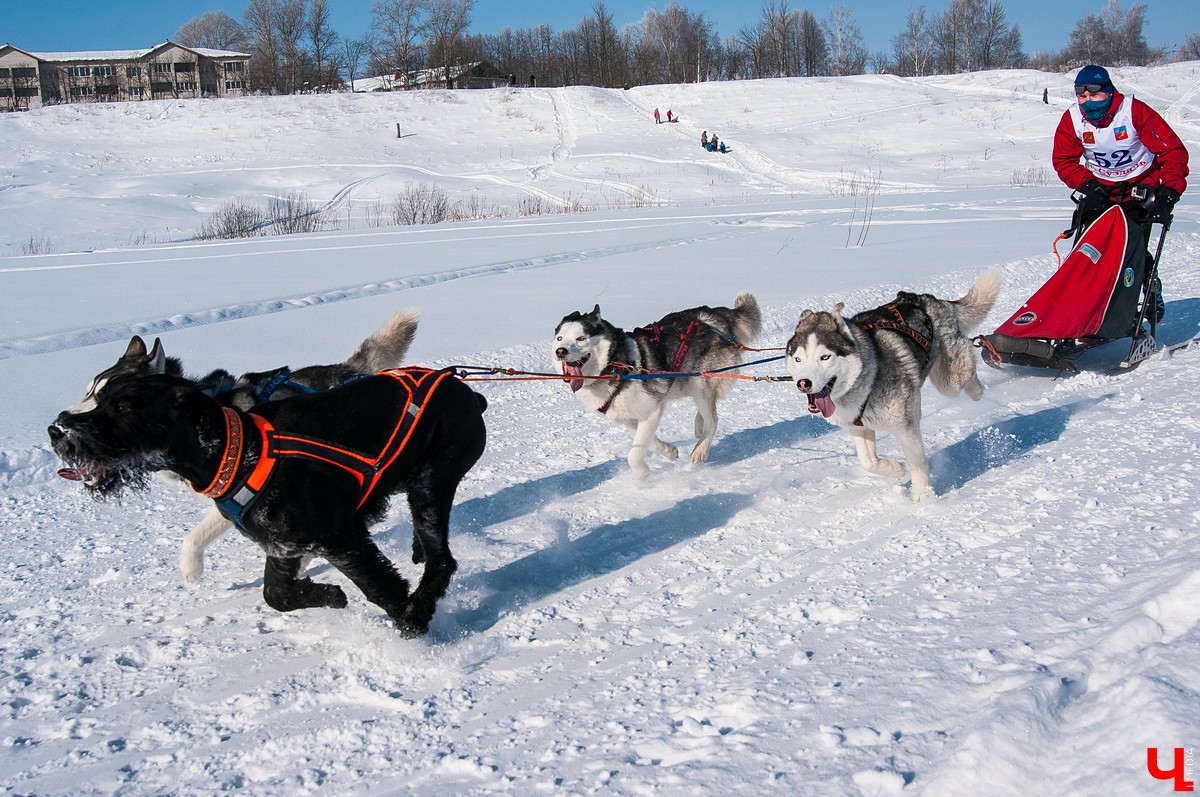 «Суздальский луг» 2018