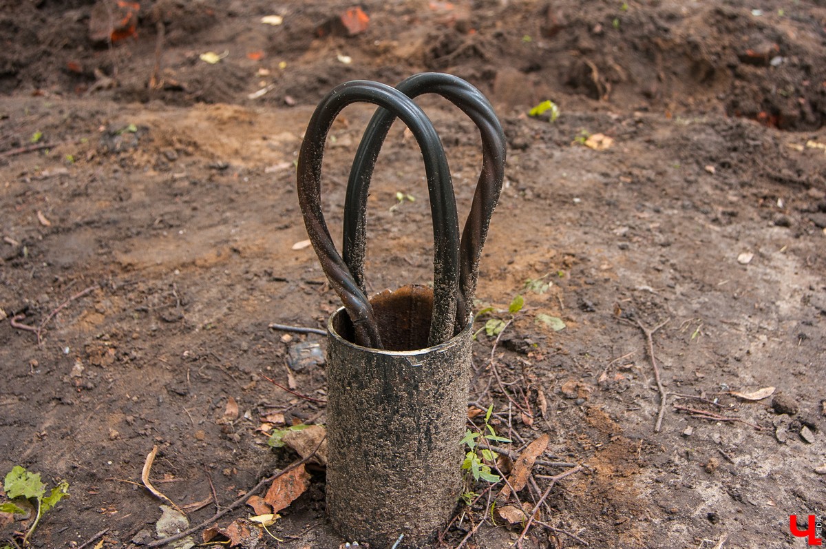 Парк на улице Никитской во Владимире попал в программу благоустройства. Сейчас там идут работы, по итогам которых в сквере появятся скамейки, цветники и детская площадка