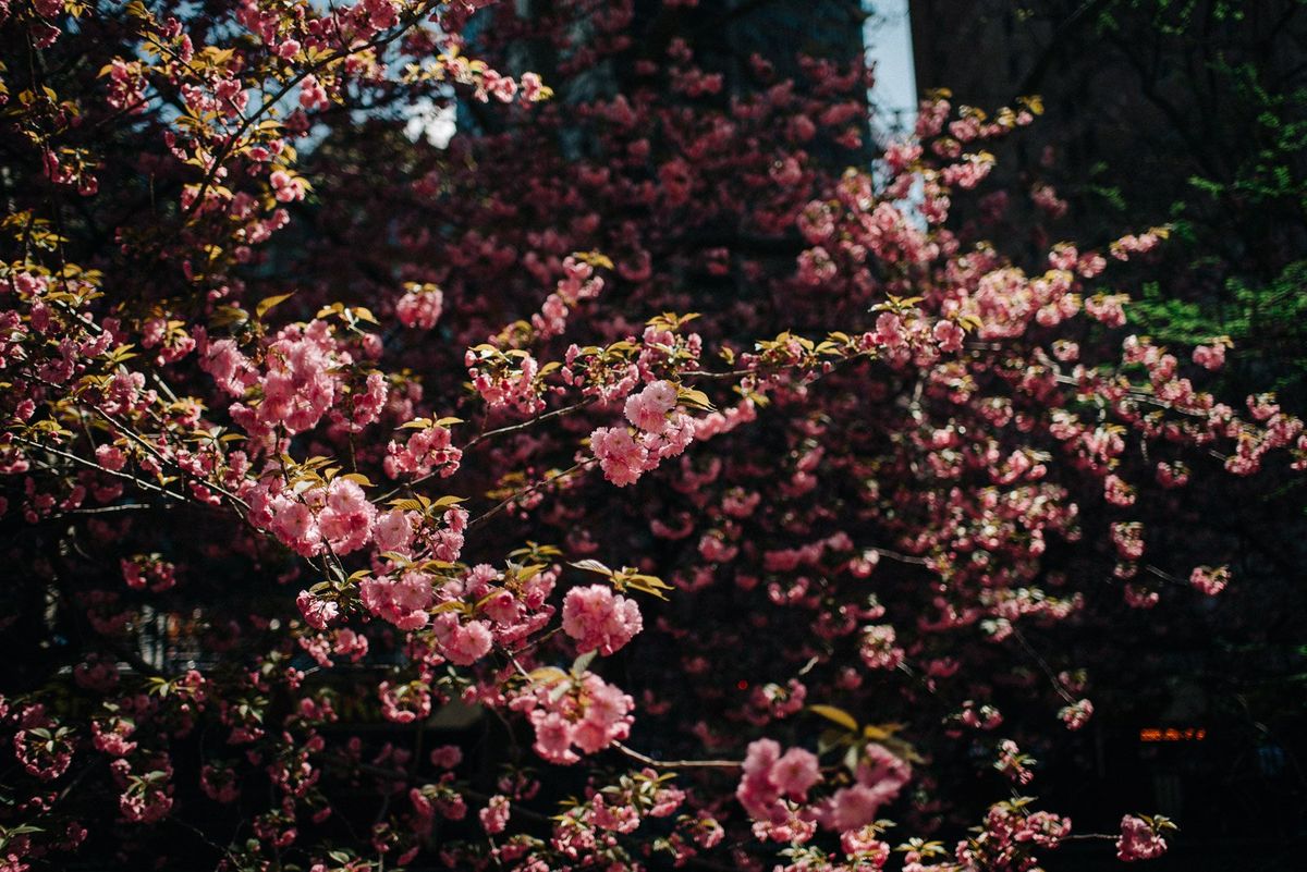 Владимирцы в Нью-Йорке. Чем дышат Бруклин и Манхэттен?
