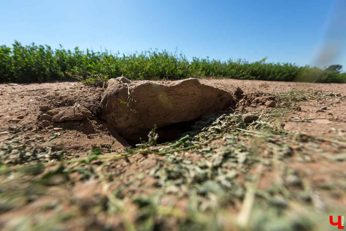 Гид Денис Лапин провел необычную экскурсию по Суздалю. Он показал журналисту Ключ-Медиа загадочные провалы, тайные подземелья и древние вещи, найденные местными жителями