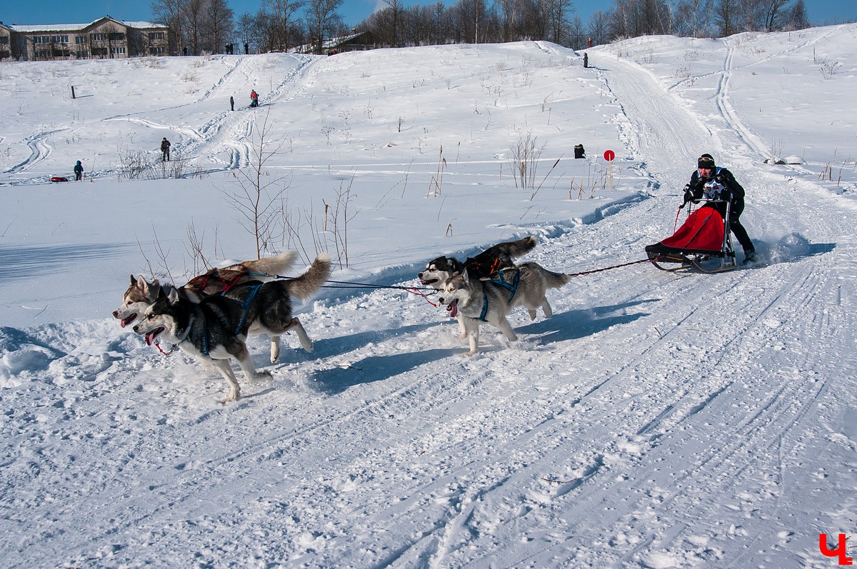 «Суздальский луг» 2018