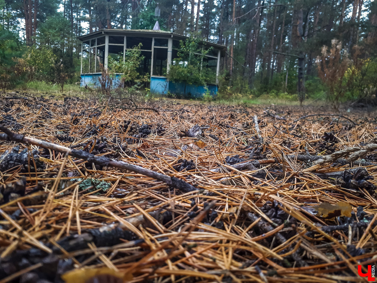 В лесу в Суздальском районе мы случайно набрели на пионерский лагерь “Юность”, который несколько лет простоял заброшенным. Мародеры до него не добрались, а потому постройки остались целыми