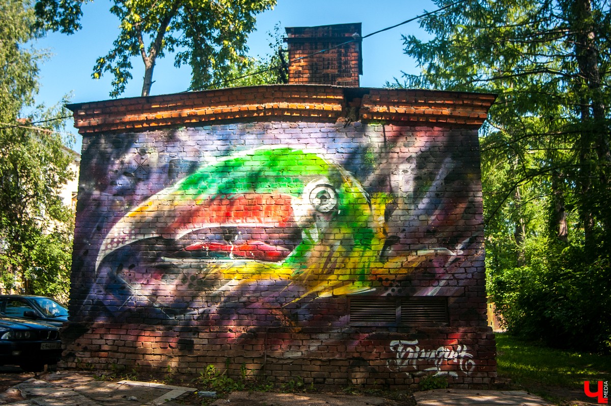 Фотоподборка владимирских трансформаторных будок, на которых нарисованы крутые граффити, с точными адресами и координатами