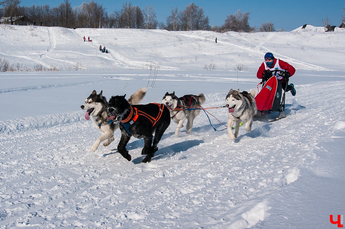«Суздальский луг» 2018