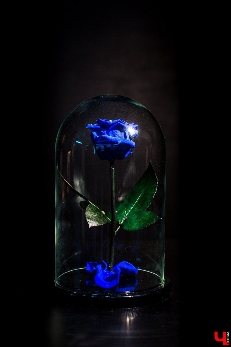 Салон флористики “Краснова” во Владимире