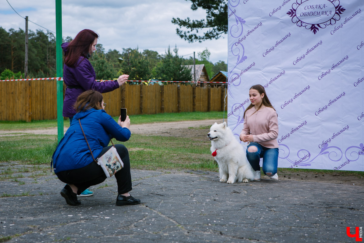 Собачьи нежности во Владимире: самые любвеобильные участники «Собаки-обнимаки»