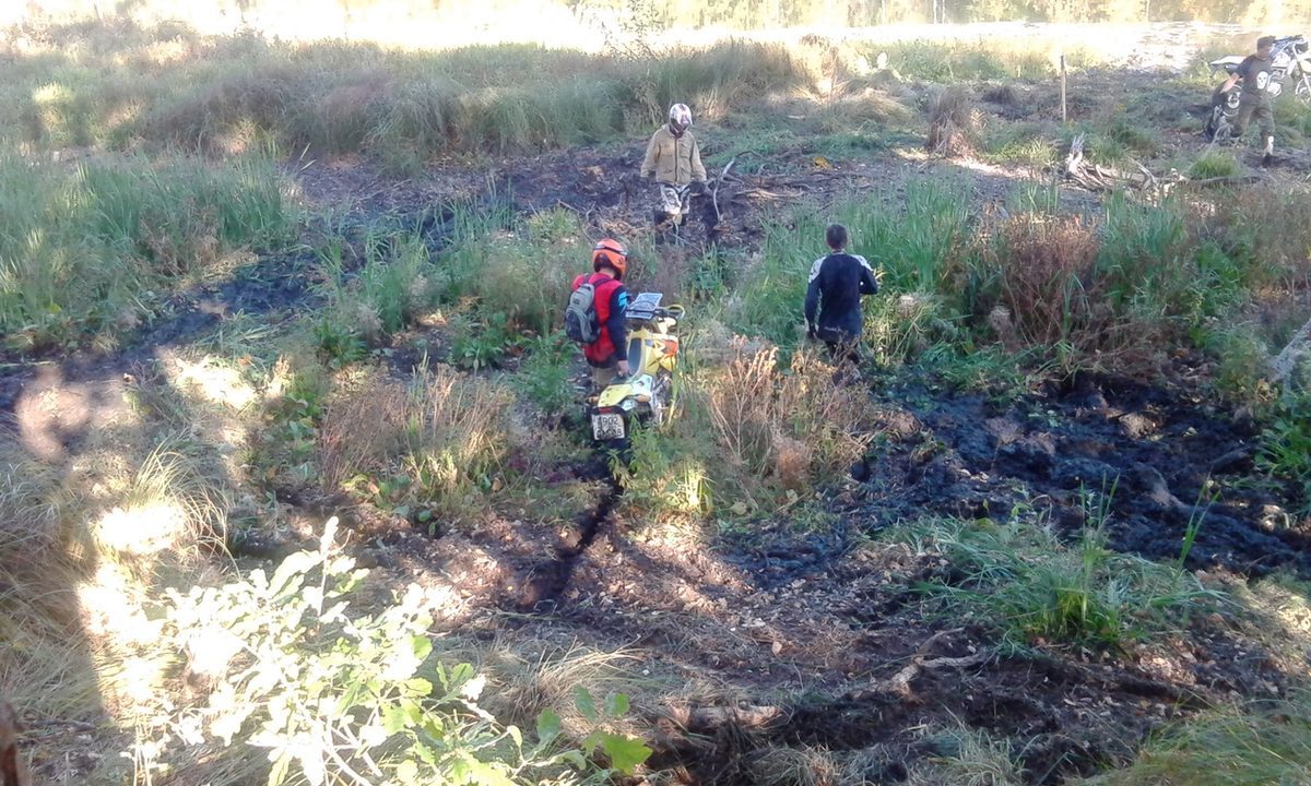 16 сентября состоялись “Мстёрские тропы 2018”. Мотоциклисты соревновались в ориентировании на бездорожье. Приехало 100 участников