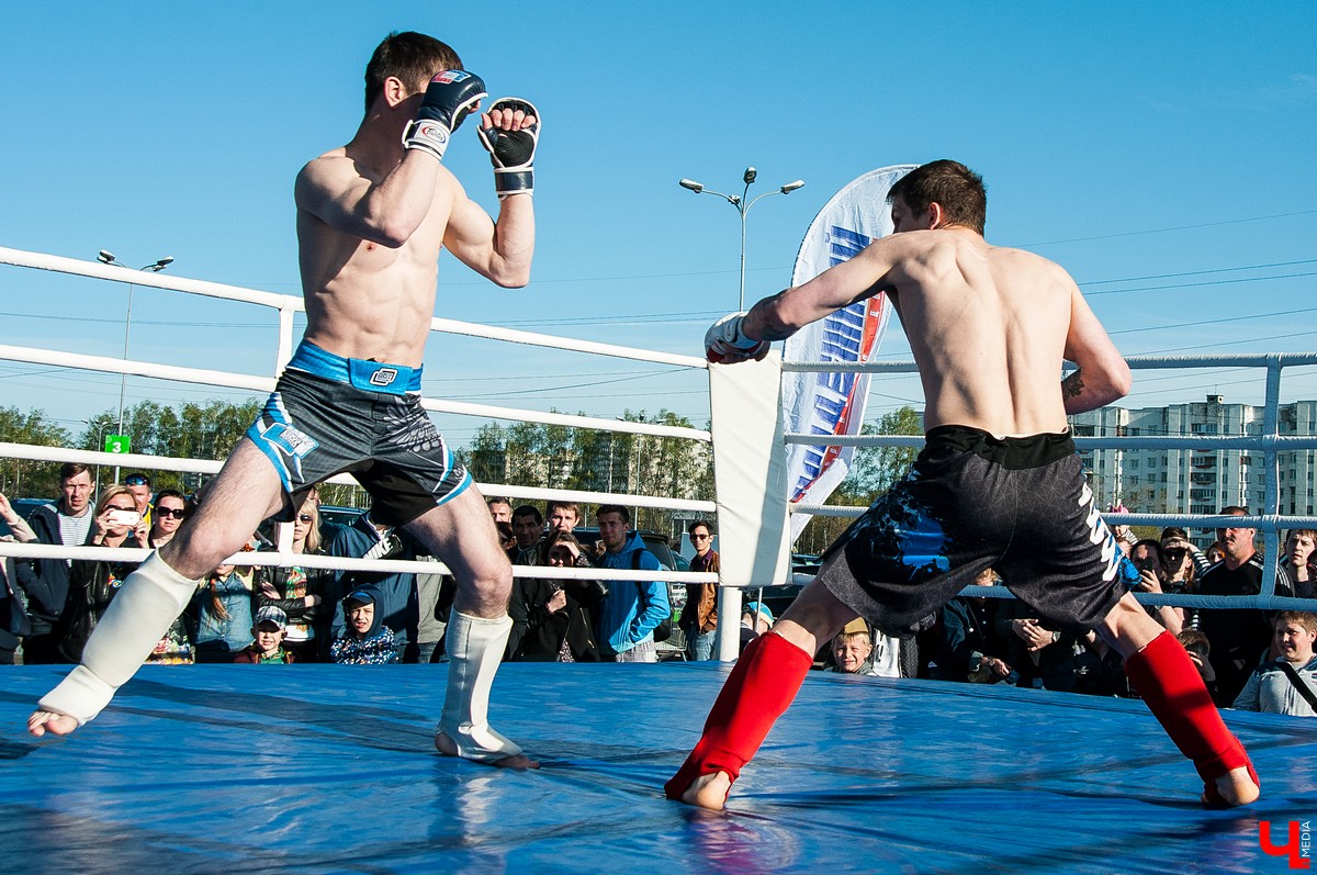 Чемпионат по кикбоксингу во Владимире