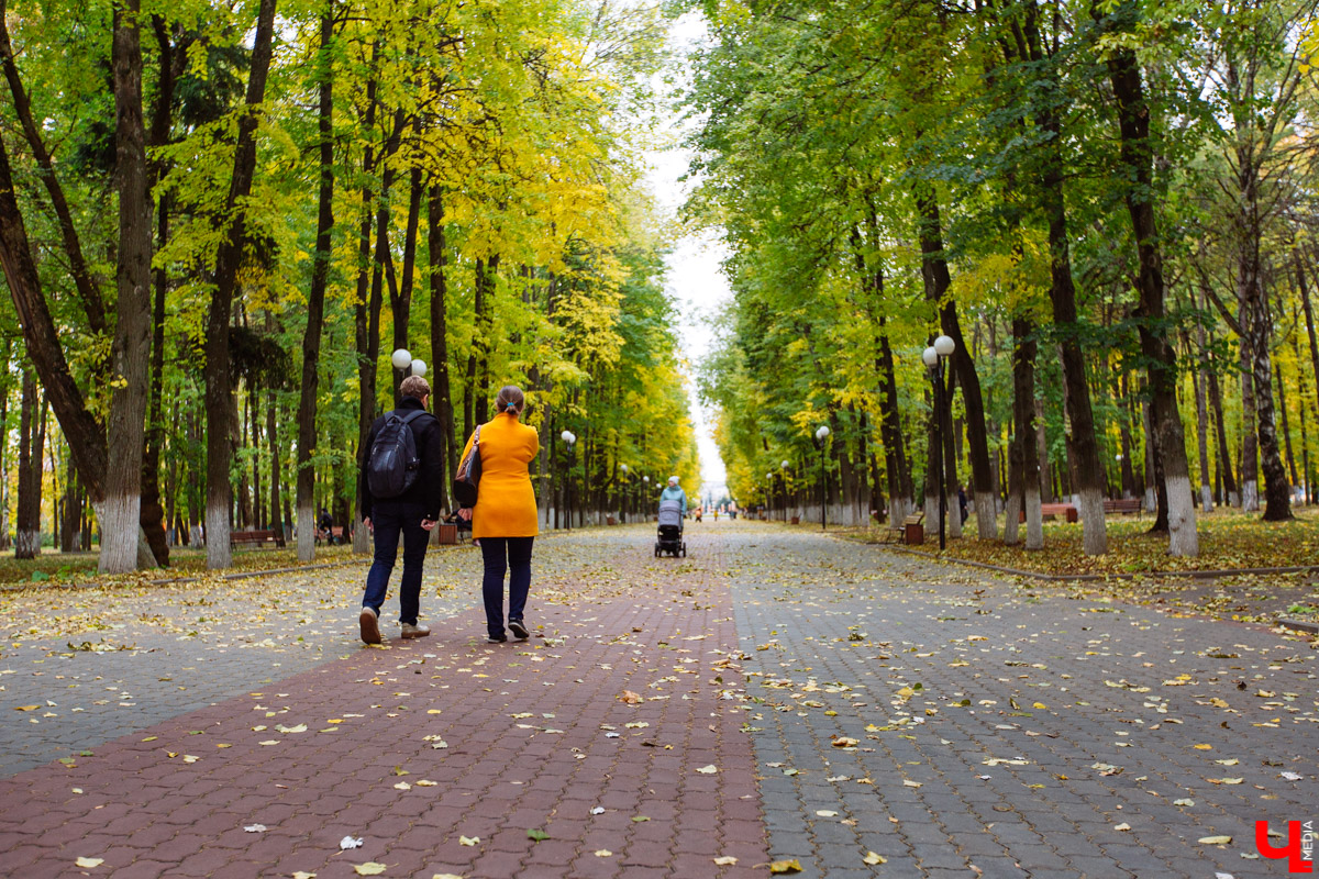 Сначала было Козье поле, затем владимирская ВДНХ, потом парк 850-летия города и Центральный. История одного из любимых мест отдыха во Владимире