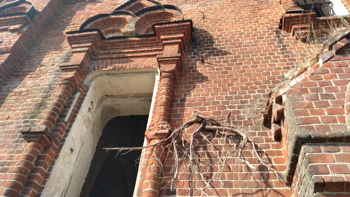 Истории о родниках с целебной водой - не редкость, вот и мы собрали информацию о трех таких источниках. А заодно узнали: чем действительно удивительна эта вода