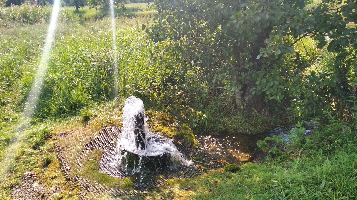 Истории о родниках с целебной водой - не редкость, вот и мы собрали информацию о трех таких источниках. А заодно узнали: чем действительно удивительна эта вода