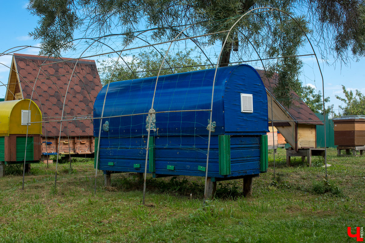 Журналист “Ключ-Медиа” на себе проверил, что такое аэроапитерапия и узнал, зачем люди ложатся спать на ульи с пчелами. Какую пользу приносит такой отдых рассказал пасечник из Владимирской области Николай Фадеев