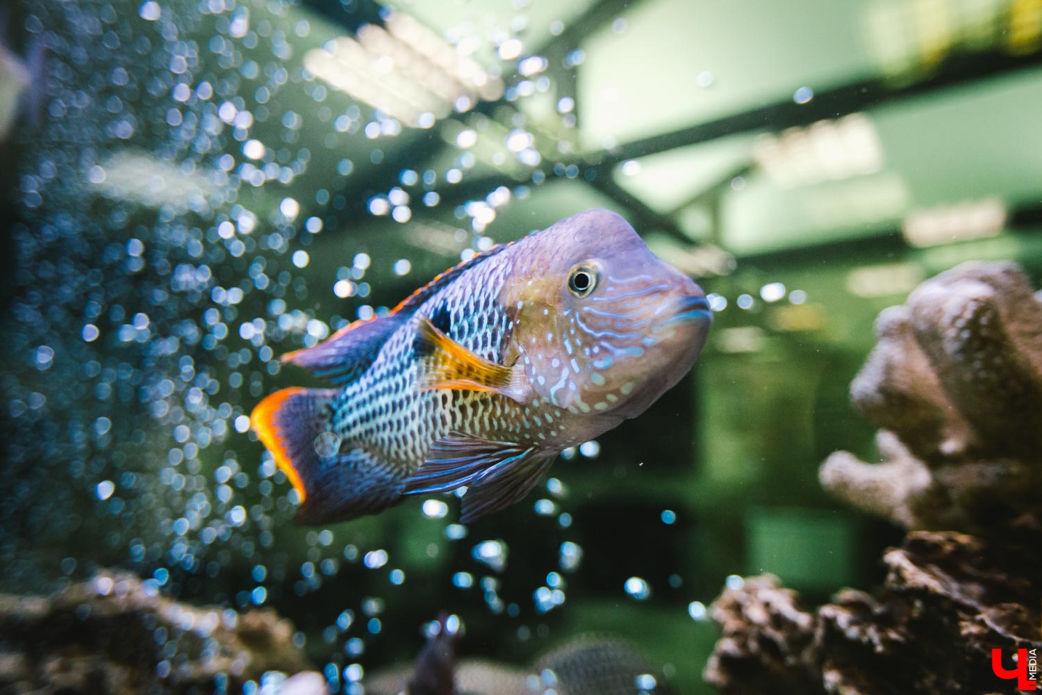 Офис Александра Доркунова