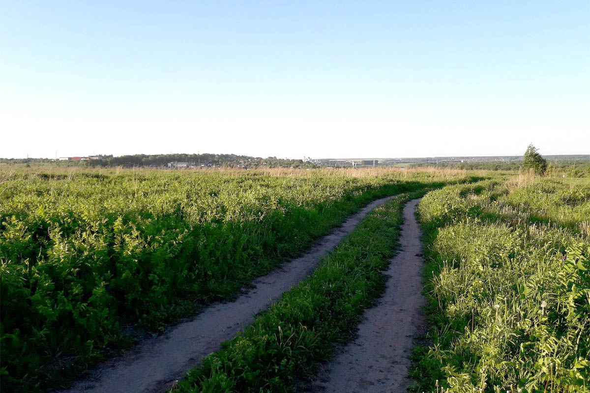 На восточной окраине Владимира есть непримечательное большое поле, на котором располагается стоянка Сунгирь. Это стоянка древнего человека. Алексей Алексеев рассказал «Ключ-Медиа», в каком состоянии находится памятник