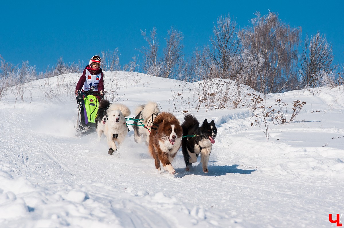 «Суздальский луг» 2018
