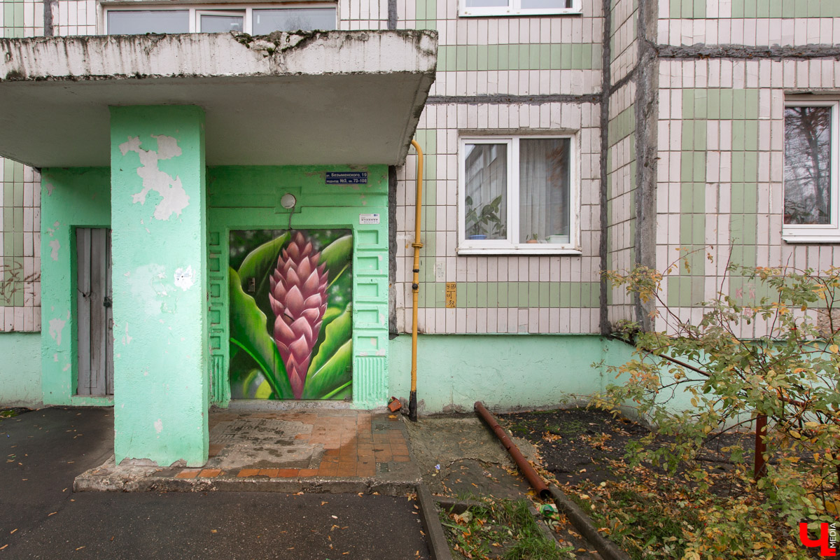 Красивых граффити во Владимире стало больше. В Добром реализуют проект “Цветные чувства”, и в его рамках создали более 10 рисунков