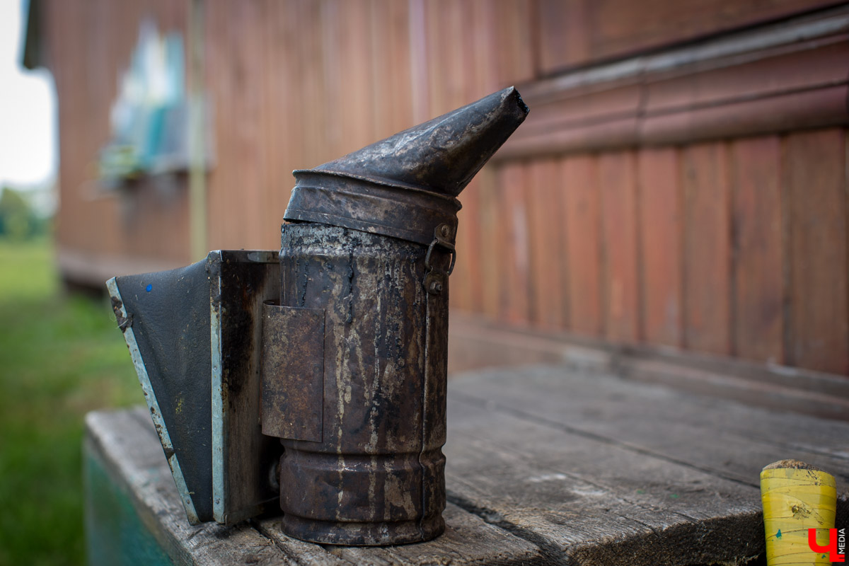 Журналист “Ключ-Медиа” на себе проверил, что такое аэроапитерапия и узнал, зачем люди ложатся спать на ульи с пчелами. Какую пользу приносит такой отдых рассказал пасечник из Владимирской области Николай Фадеев