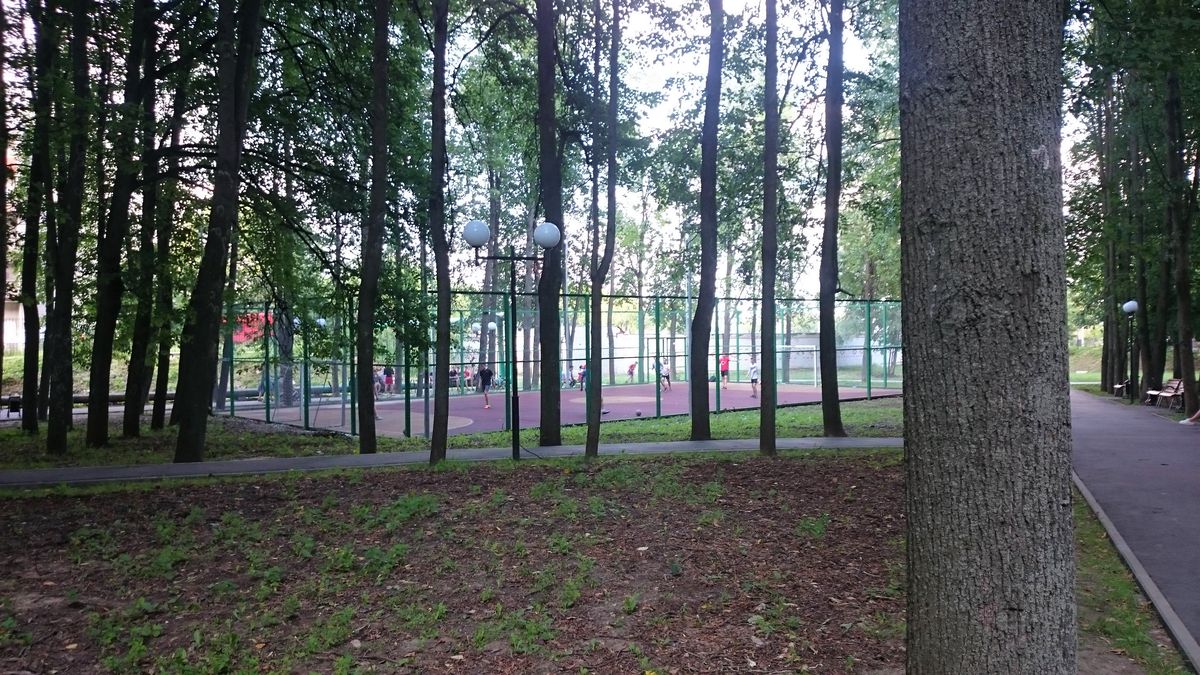 Где бесплатно поиграть в футбол на открытом воздухе во Владимире, и сколько стоит аренда хорошего поля, а также площадки для мини-футбола с резиновым покрытием, подсветкой и ограждением? Классификация полей по районам от “Ключ-Медиа”