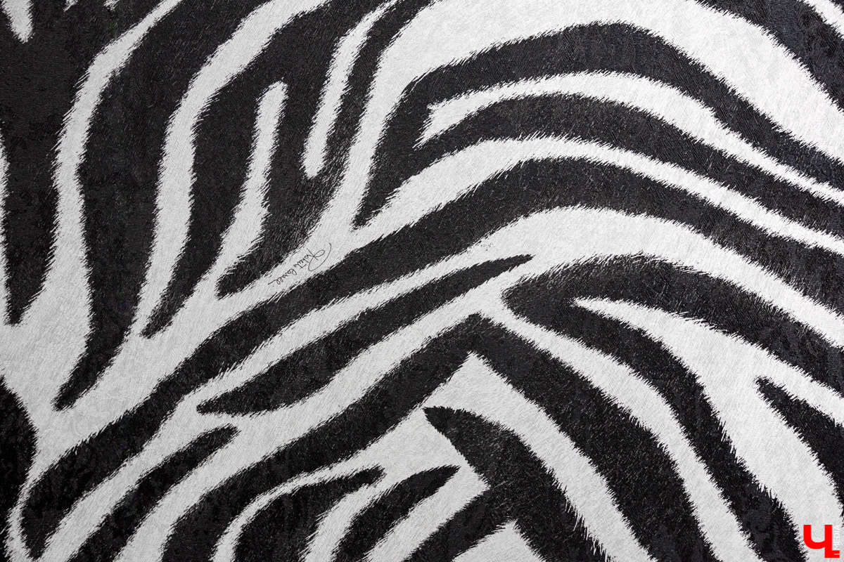 Салон красоты "Зебра"