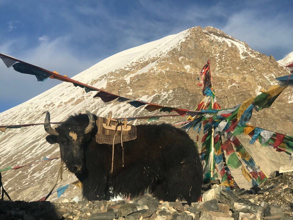 Покорение Эвереста