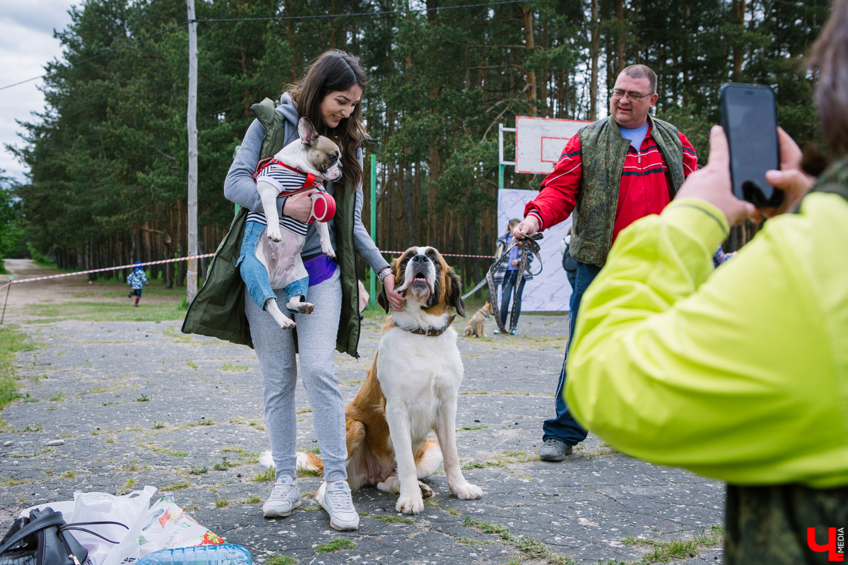 Собачьи нежности во Владимире: самые любвеобильные участники «Собаки-обнимаки»