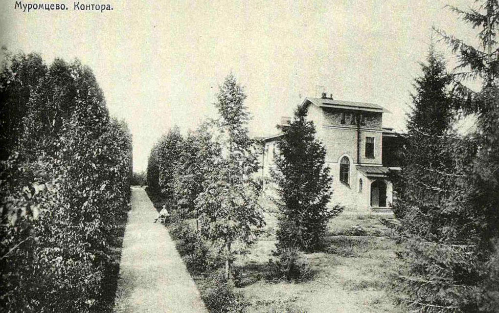 Старые фотографии дворянских усадеб Владимирской губернии. Как жили в имениях дворяне: Сушнево, Снегирево-Черкутино, Ратислово, Усад, Михайловское, Муромцево