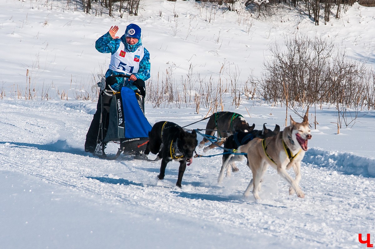 «Суздальский луг» 2018