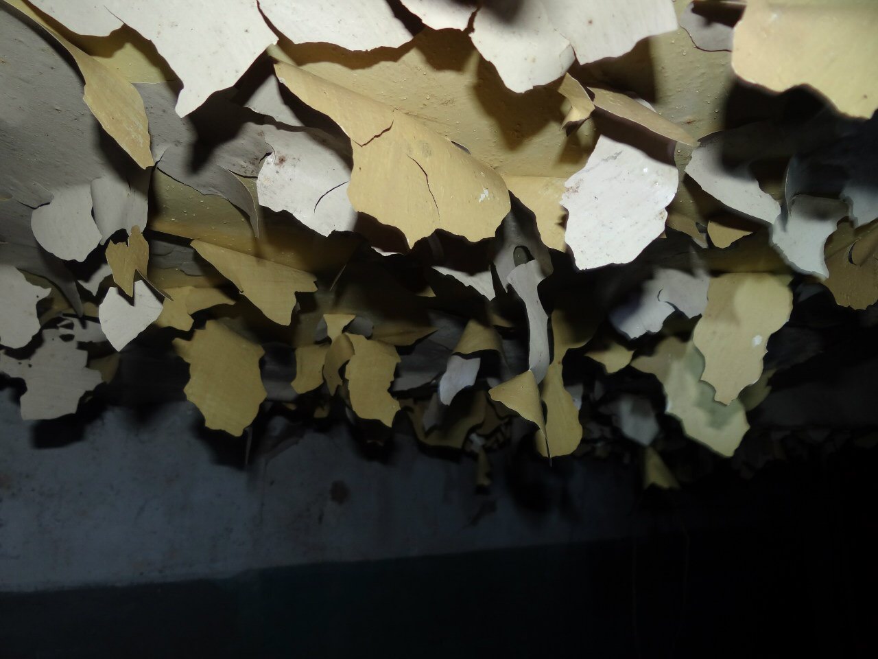 753-я отдельная радиолокационная рота