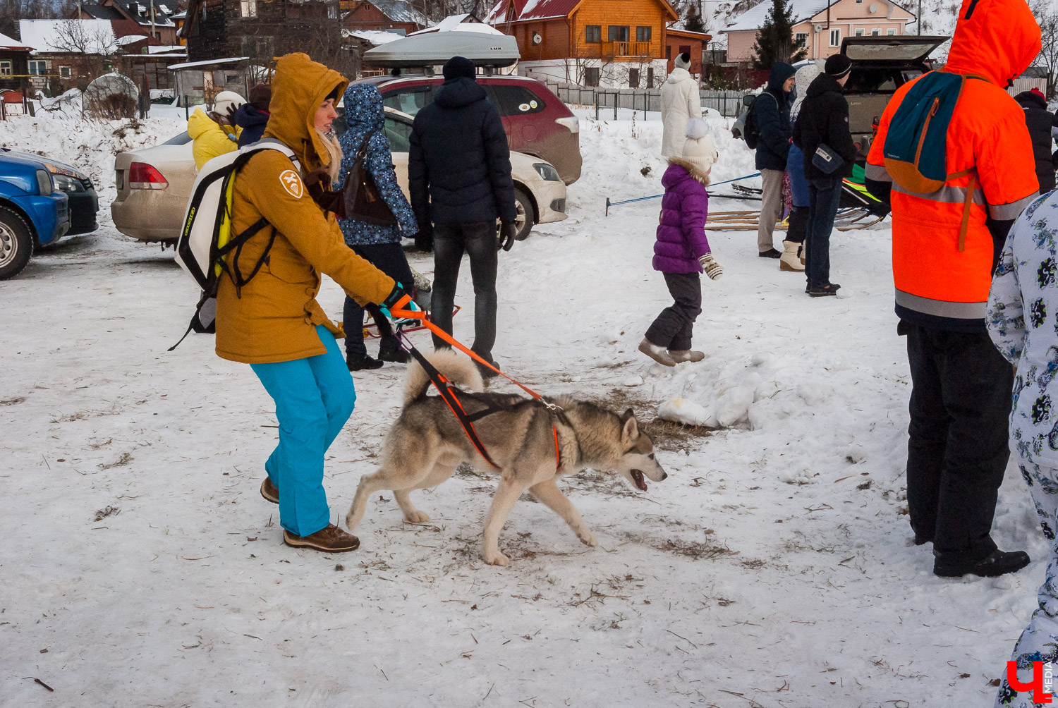 Гонки на собачьих упряжках в Суздале Гонки на собачьих упряжках в Суздале