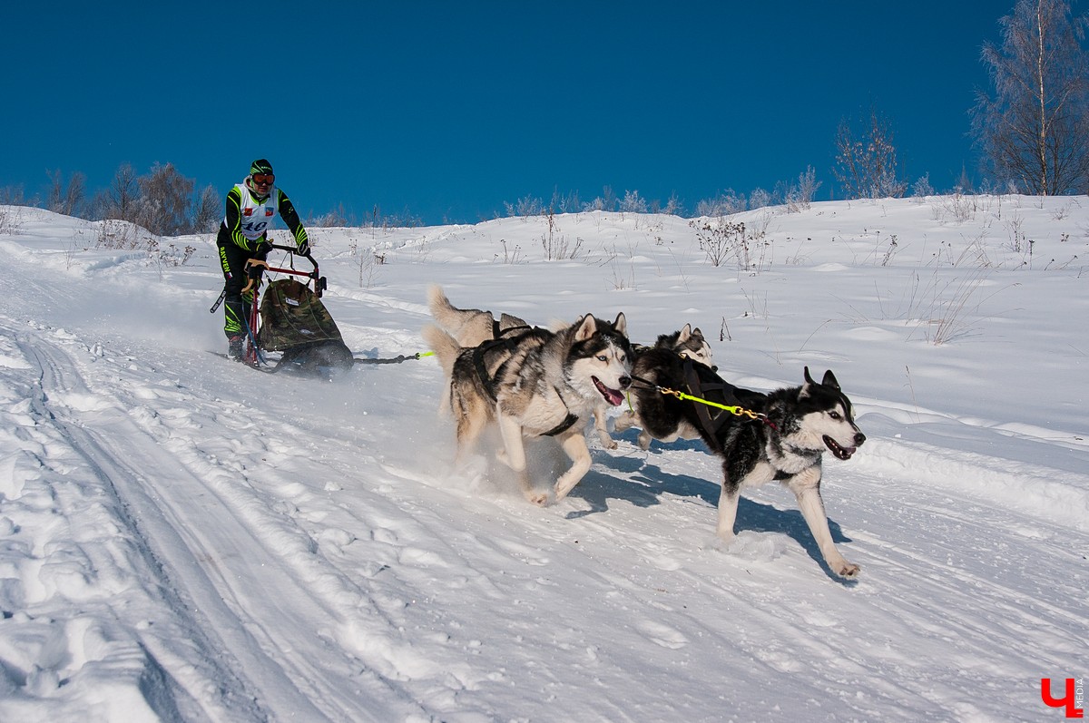 «Суздальский луг» 2018