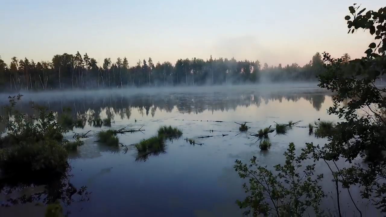 Известный актер и ведущий Сергей Дружко опубликовал в своем блоге на Youtube видео о путешествии по урочищу Шушмор на границе Московской и Владимирской областей. Выпуск посвящен мистическим историям, связанным с этой местностью