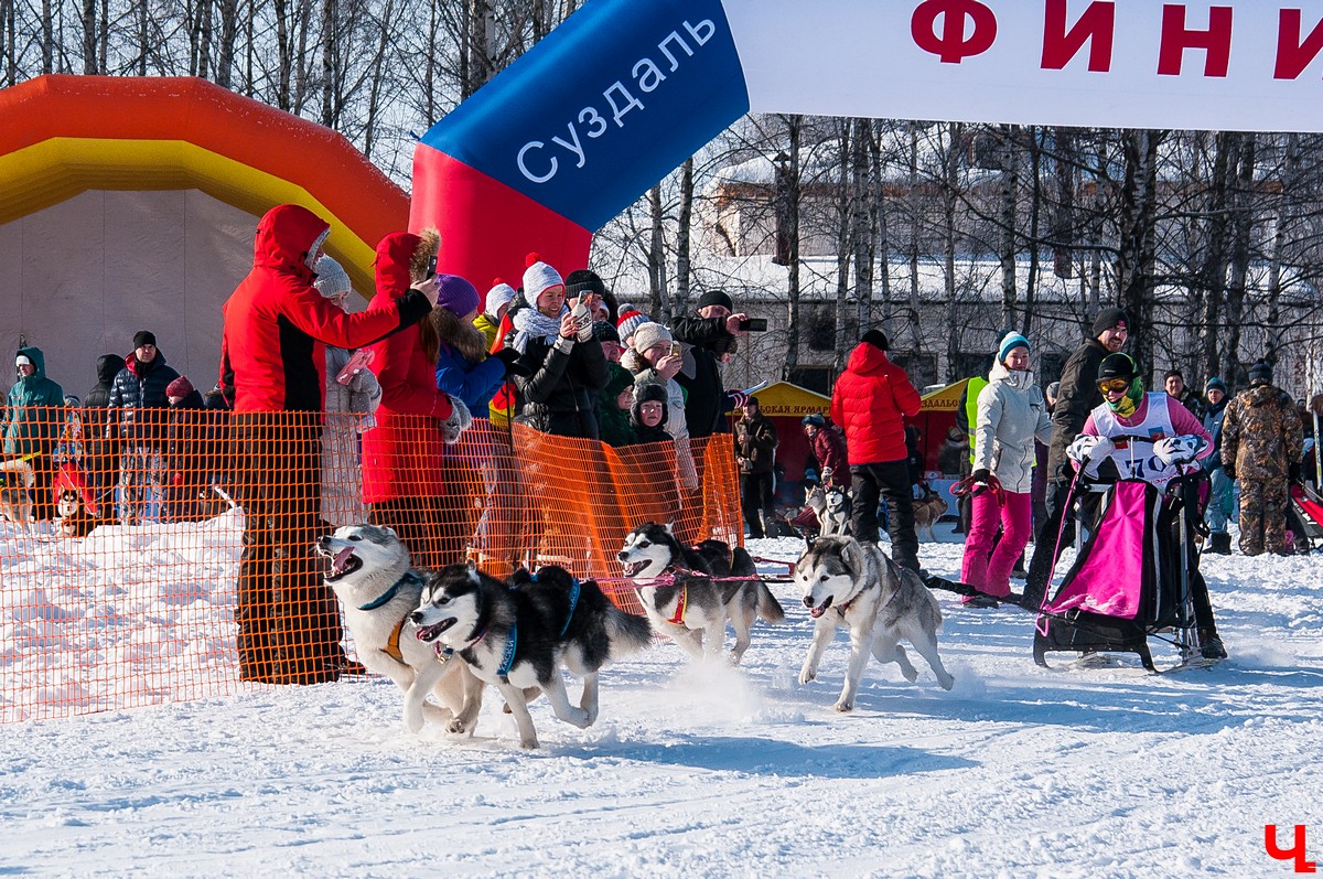 «Суздальский луг» 2018