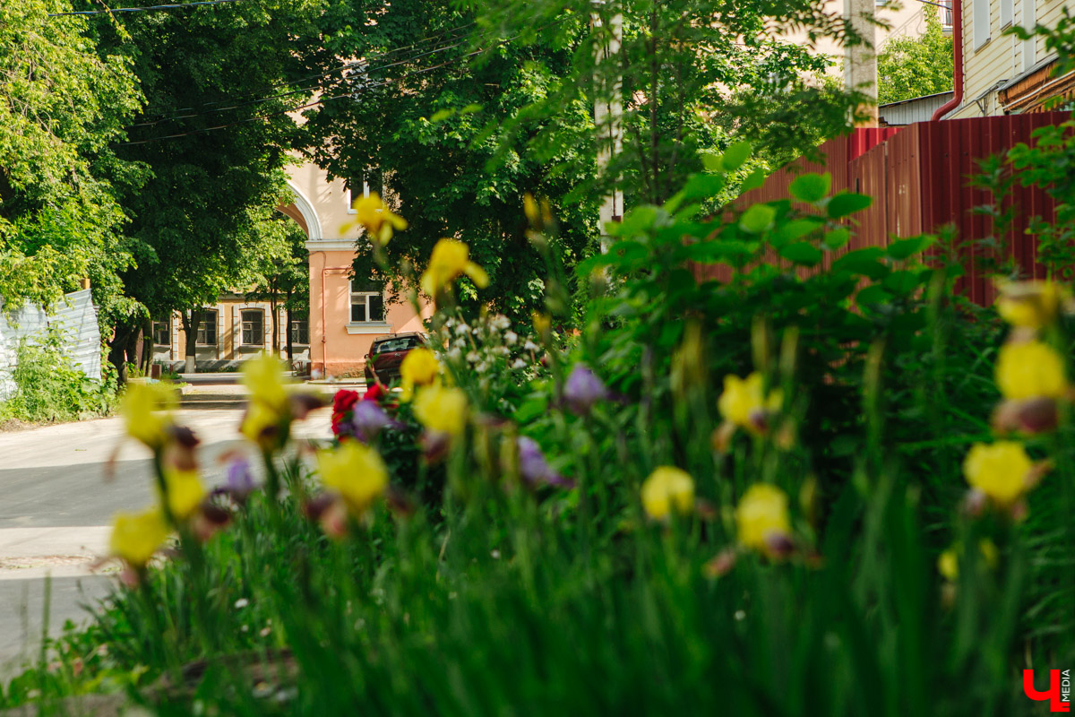 Владимир в деталях: история улицы Свердлова