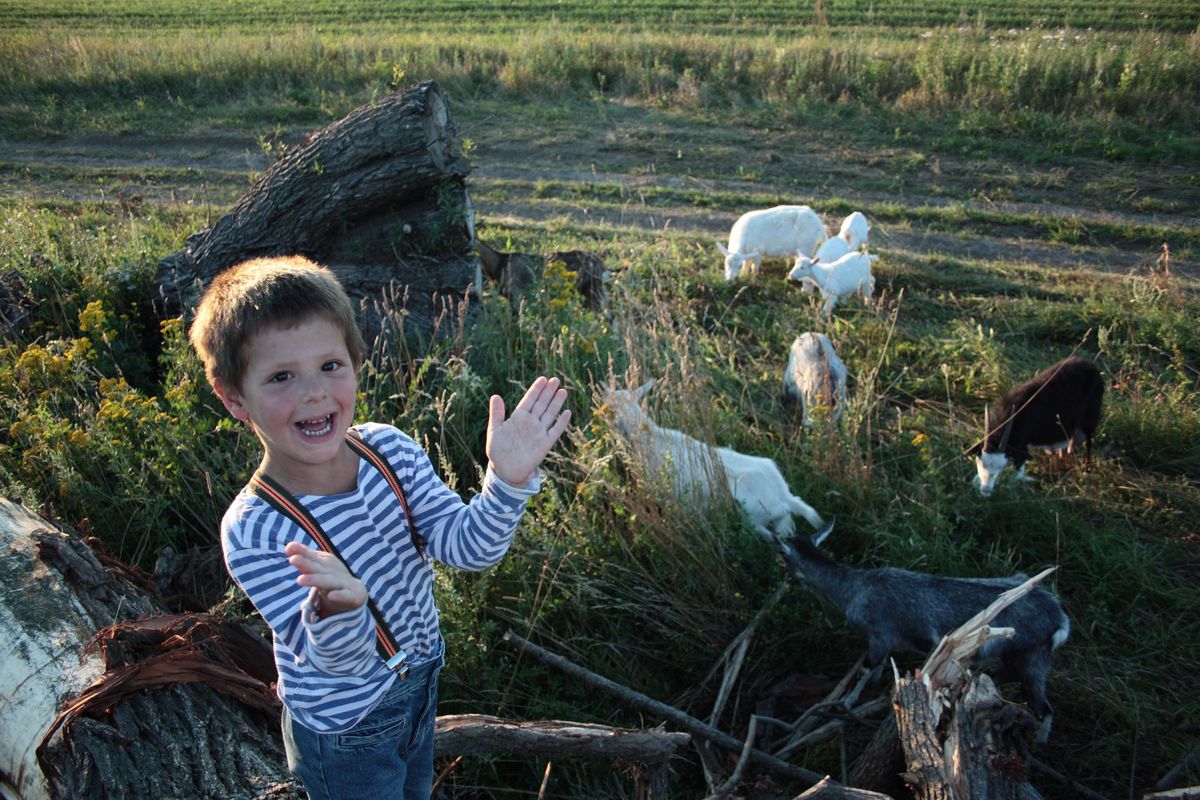 Сын Андрея пасет коз