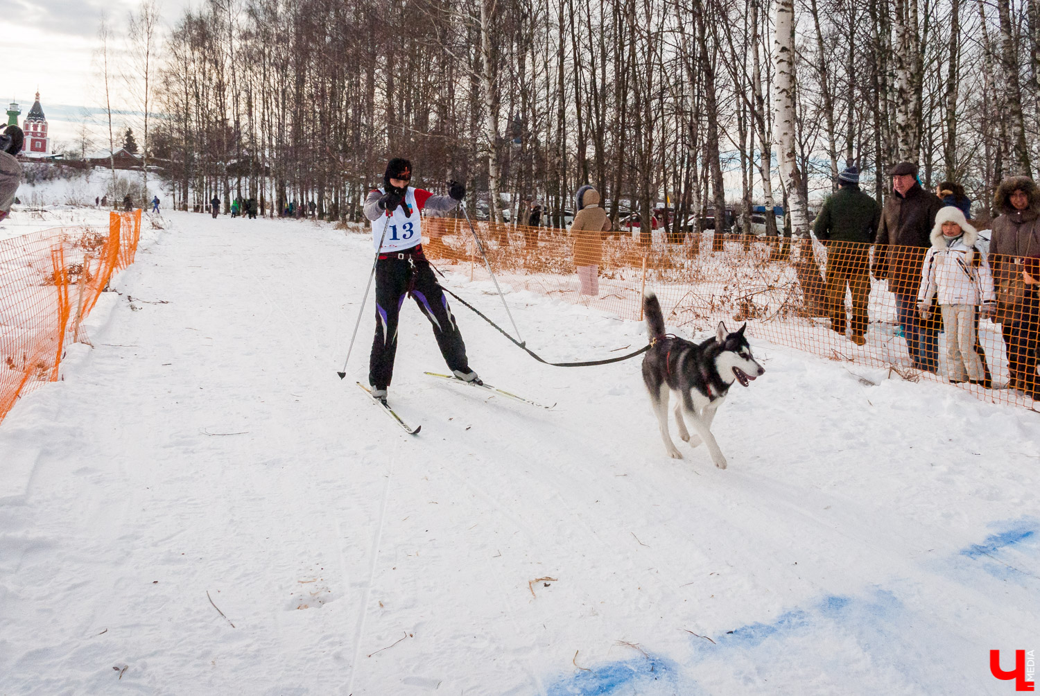 Гонки на собачьих упряжках в Суздале Гонки на собачьих упряжках в Суздале