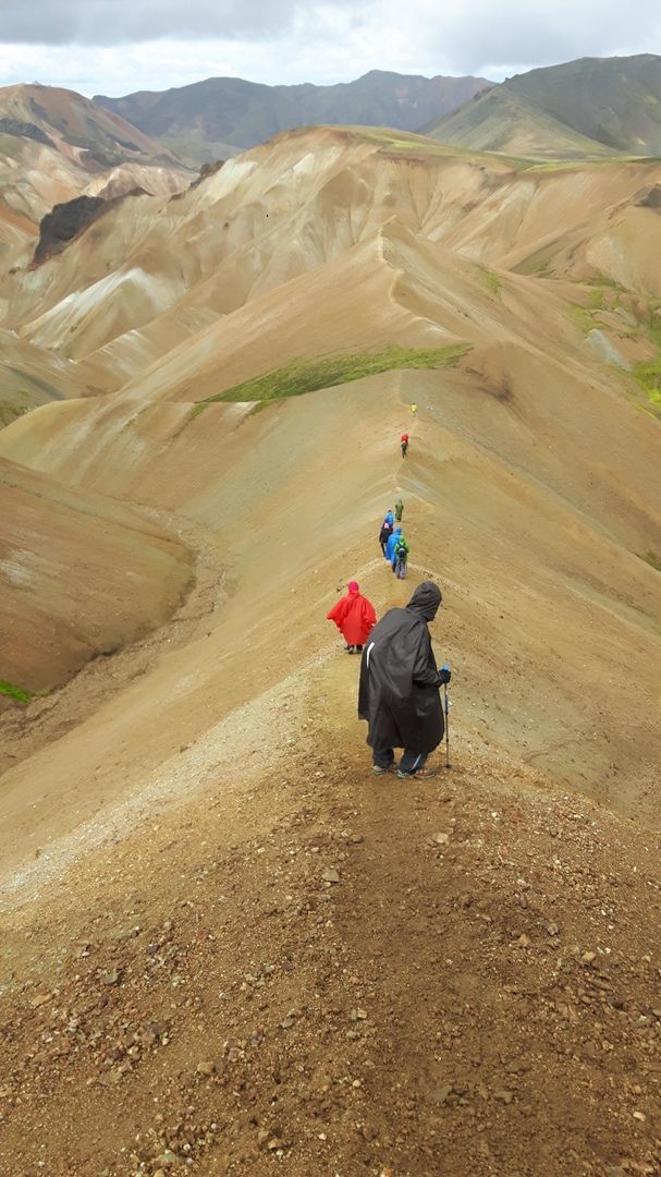 Владимирец Егор Дзюбенко живет в Германии и руководит научными исследованиями. В интервью биофизик рассказал о работе за границей и особенностях быта