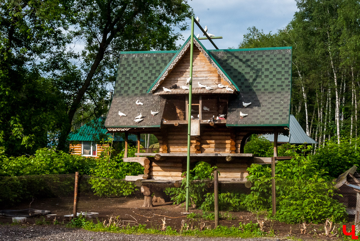 По доброй воле: Как по Доброму экскурсию водили