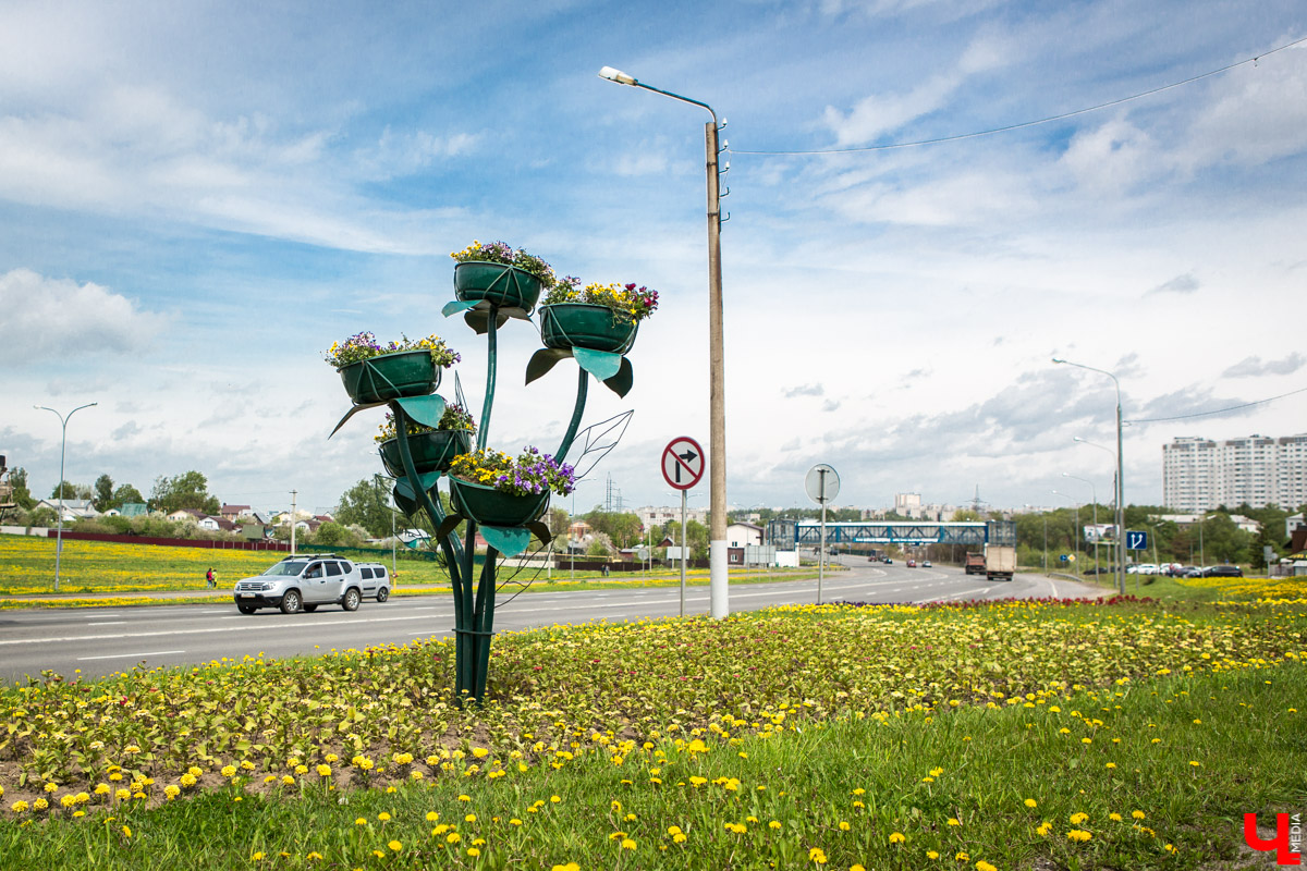 Цветники Владимира: где искать, когда смотреть? 
