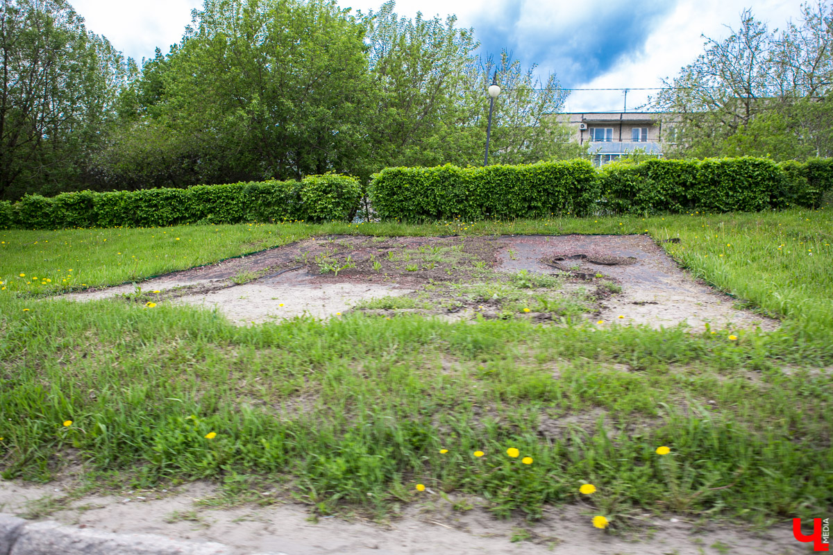 Цветники Владимира: где искать, когда смотреть? 