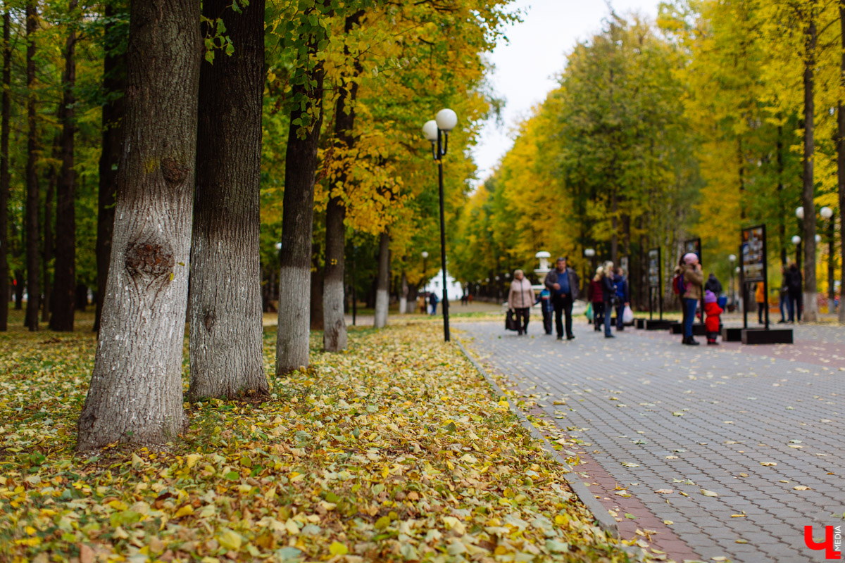 Сначала было Козье поле, затем владимирская ВДНХ, потом парк 850-летия города и Центральный. История одного из любимых мест отдыха во Владимире