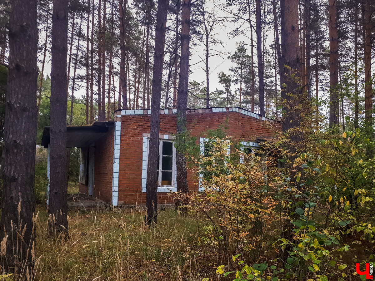 В лесу в Суздальском районе мы случайно набрели на пионерский лагерь “Юность”, который несколько лет простоял заброшенным. Мародеры до него не добрались, а потому постройки остались целыми