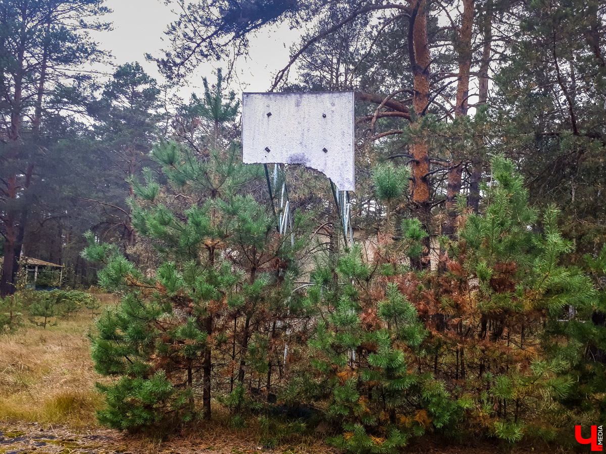 В лесу в Суздальском районе мы случайно набрели на пионерский лагерь “Юность”, который несколько лет простоял заброшенным. Мародеры до него не добрались, а потому постройки остались целыми