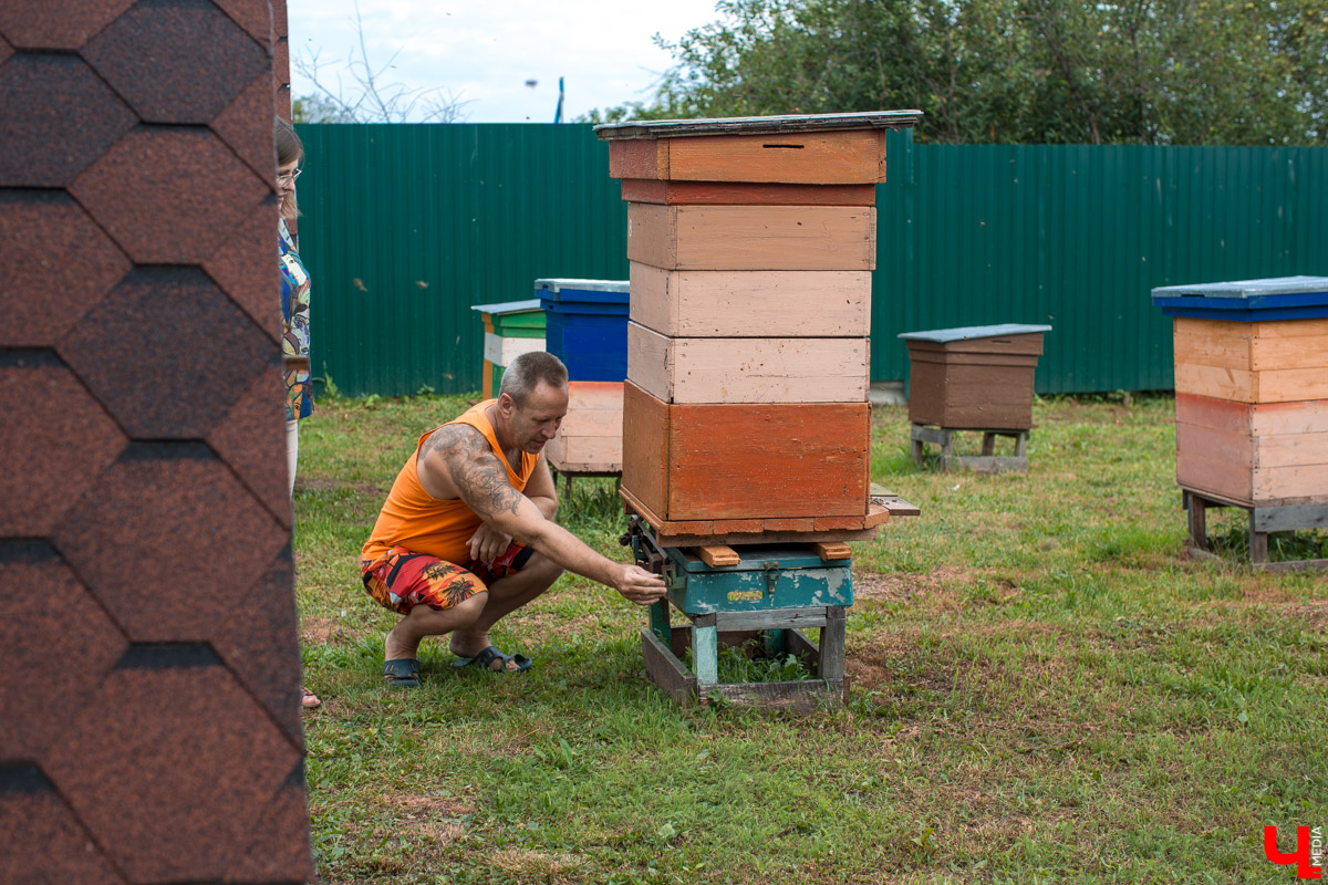Журналист “Ключ-Медиа” на себе проверил, что такое аэроапитерапия и узнал, зачем люди ложатся спать на ульи с пчелами. Какую пользу приносит такой отдых рассказал пасечник из Владимирской области Николай Фадеев
