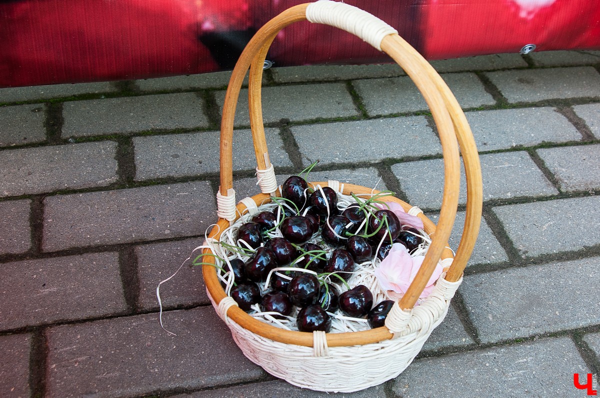 15 июля во Владимире прошел Вишневый спас. В этом году он совпал с окончанием чемпионата мира по футболу, и владимирцы решили отметить это событие по-спортивному