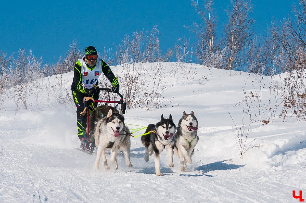 «Суздальский луг» 2018