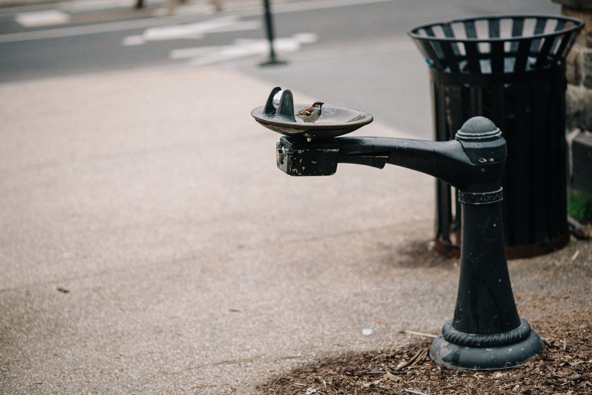 Владимирцы в Нью-Йорке. Чем дышат Бруклин и Манхэттен?