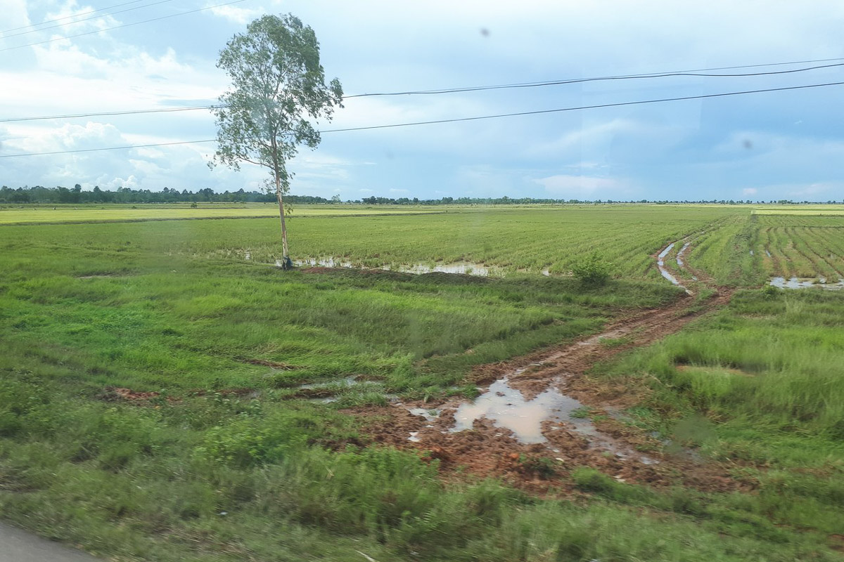 Отдых в Таиланде