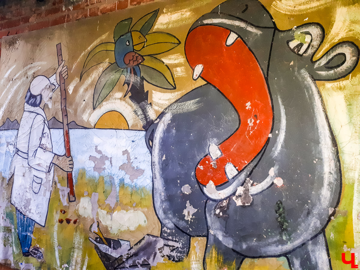 В лесу в Суздальском районе мы случайно набрели на пионерский лагерь “Юность”, который несколько лет простоял заброшенным. Мародеры до него не добрались, а потому постройки остались целыми