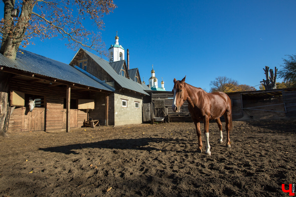Интервью с Владимиром Фомичевым, главой клуба исторической реконструкции “Рыцарское копье”